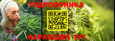 СК Краснодар
